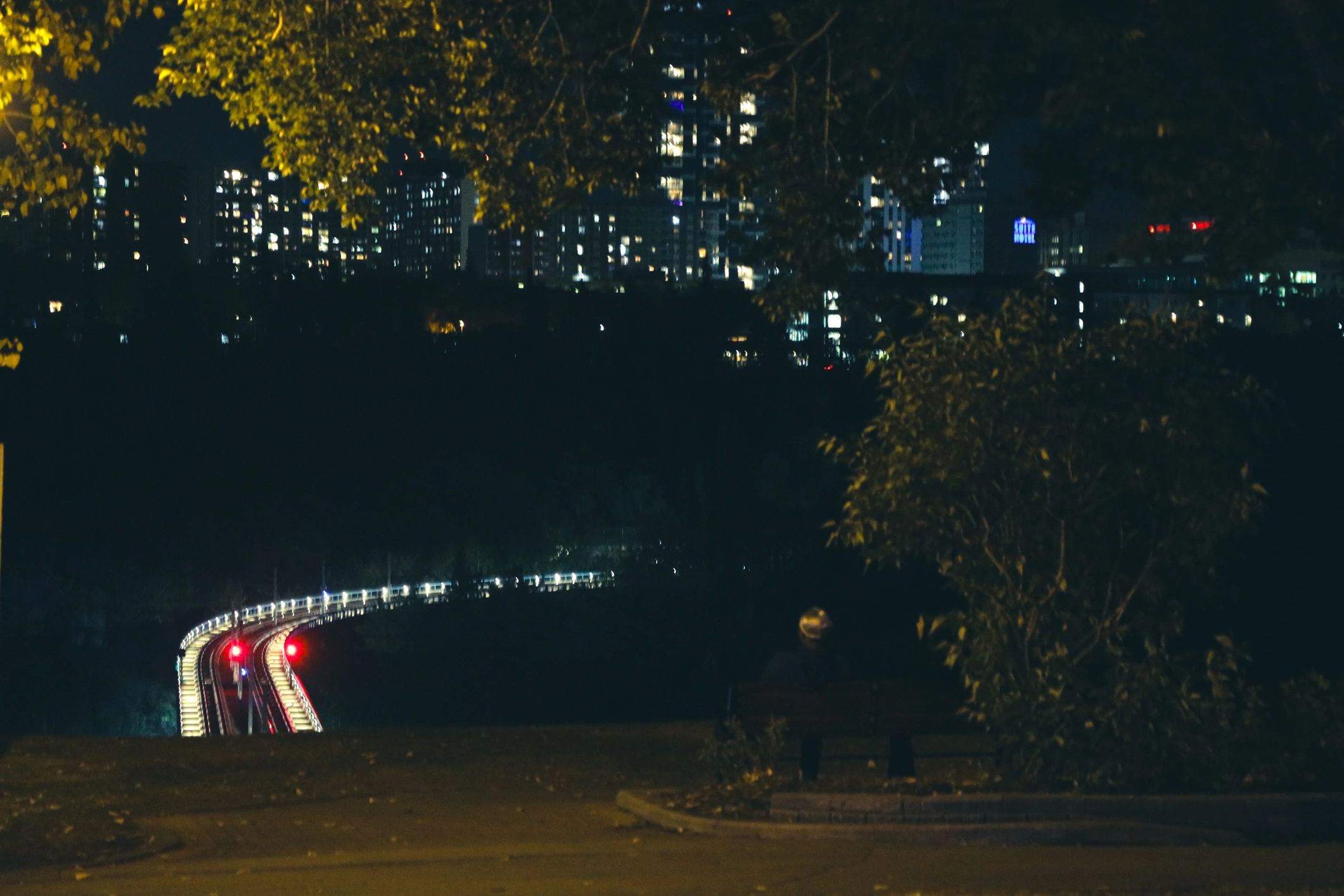 City skyline and traffic light trails at night